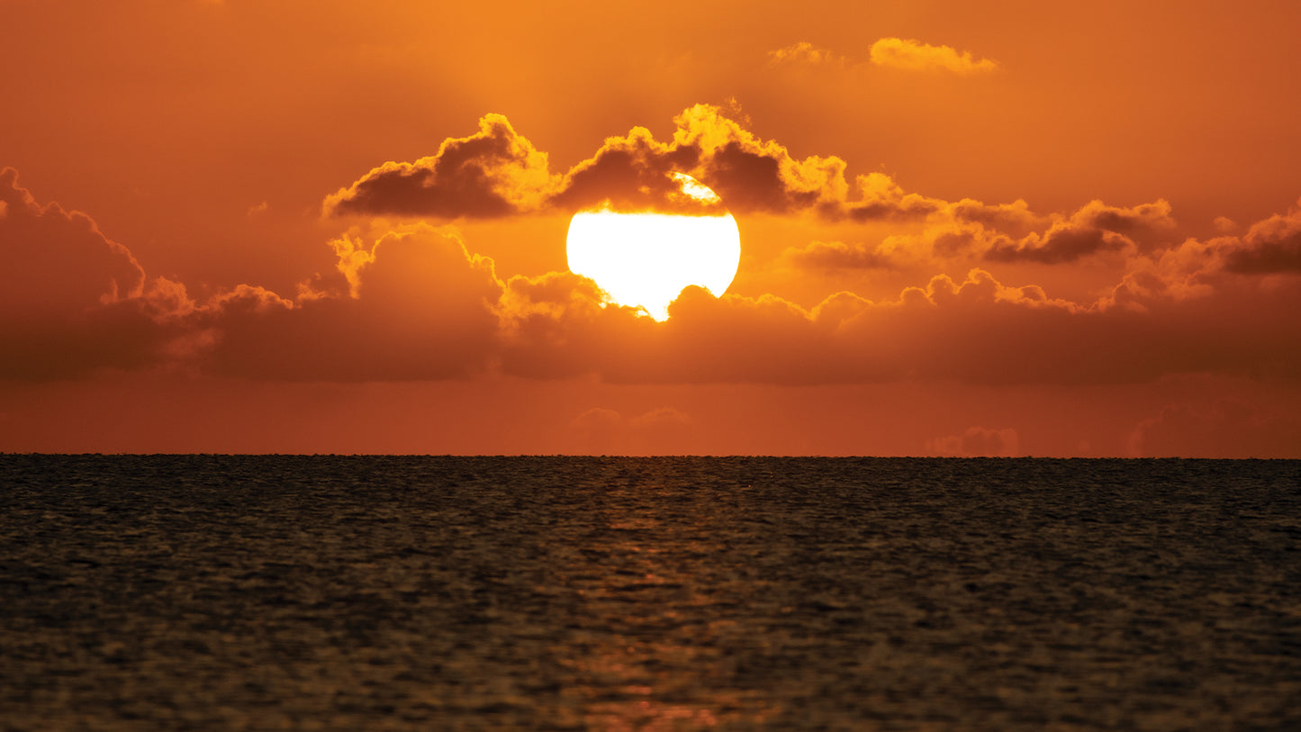 Western Florida Sunset