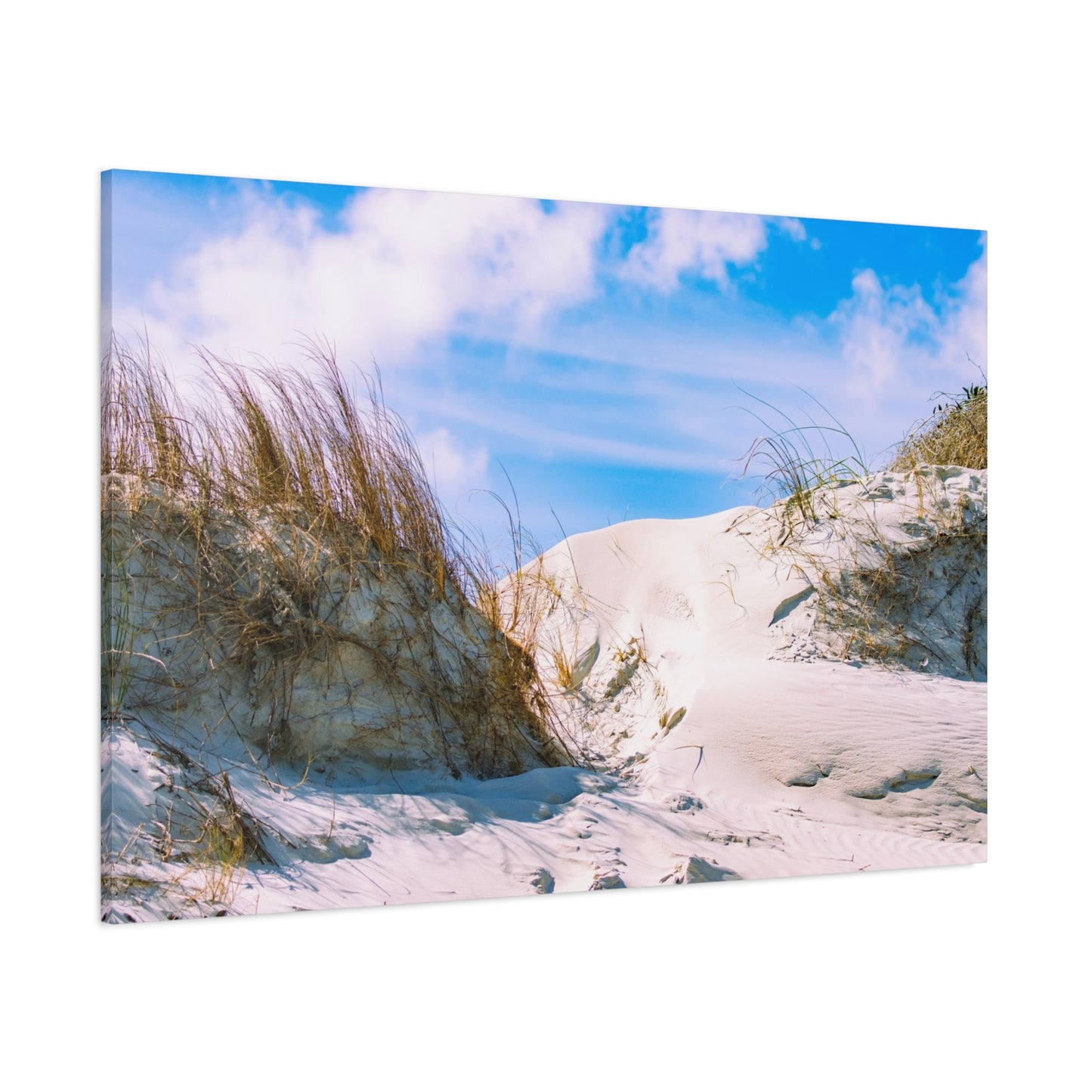 New Smyrna Beach Dunes on Canvas