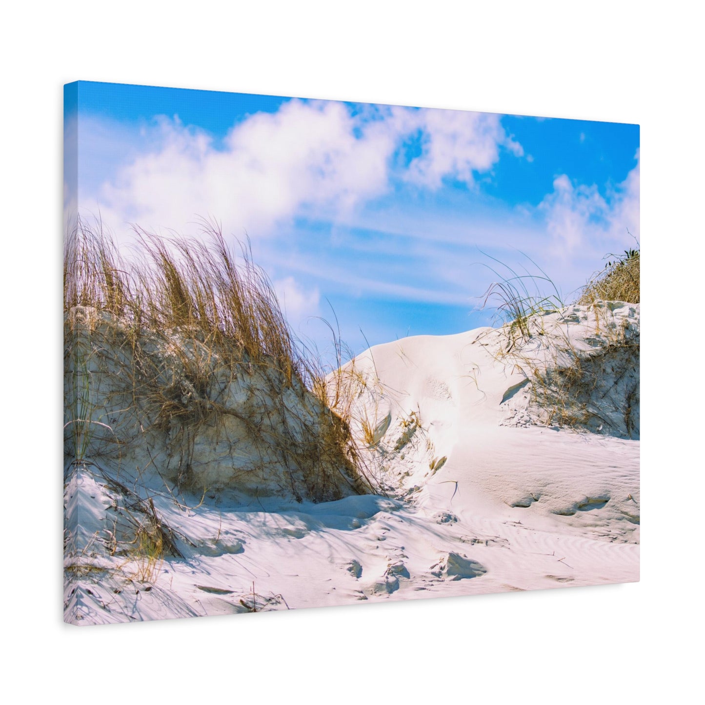 New Smyrna Beach Dunes on Canvas