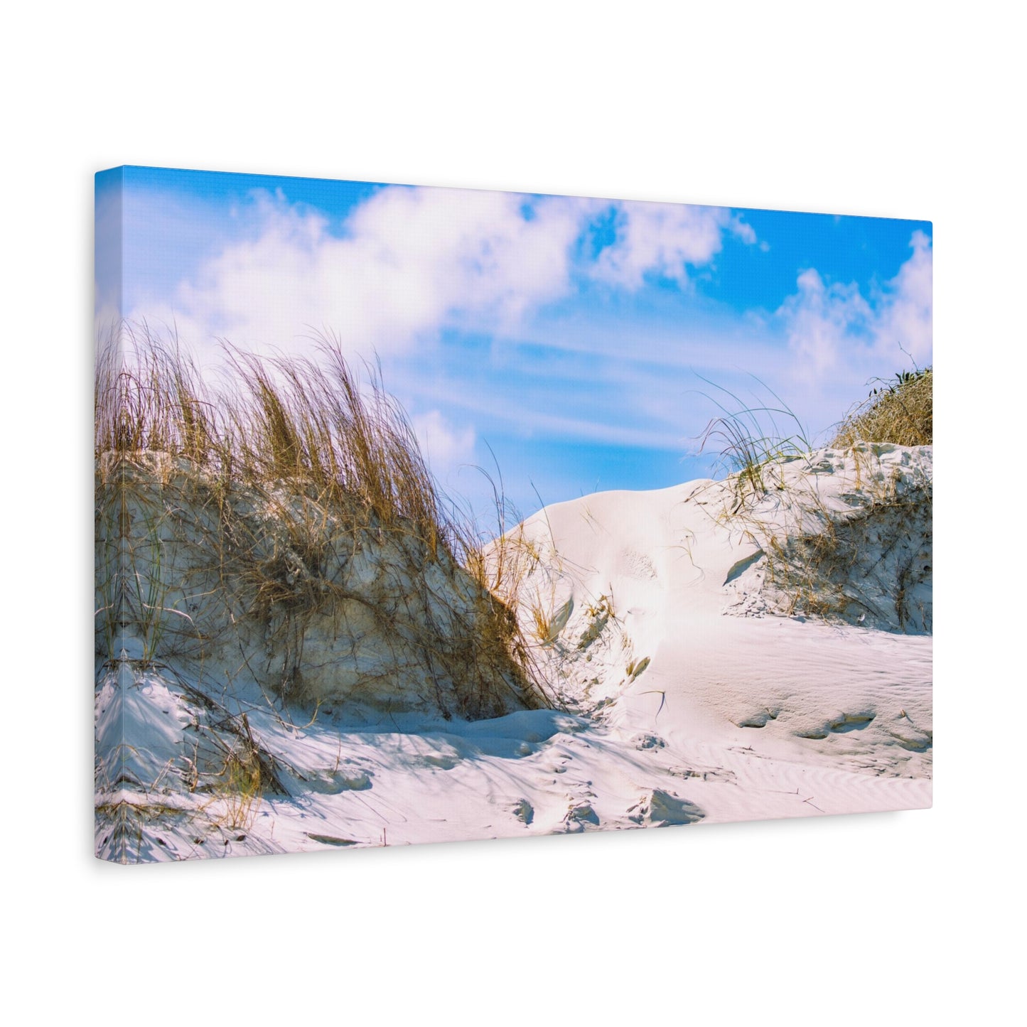 New Smyrna Beach Dunes on Canvas