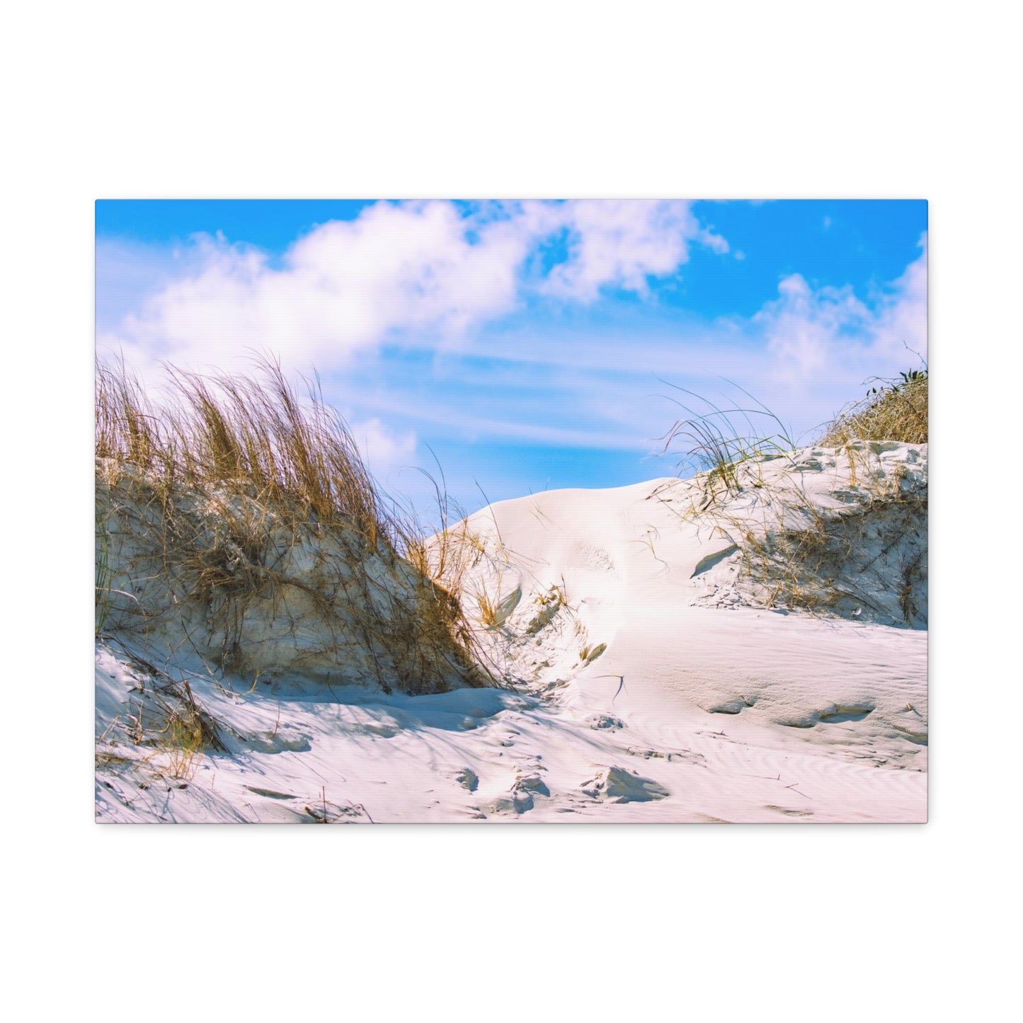 New Smyrna Beach Dunes on Canvas