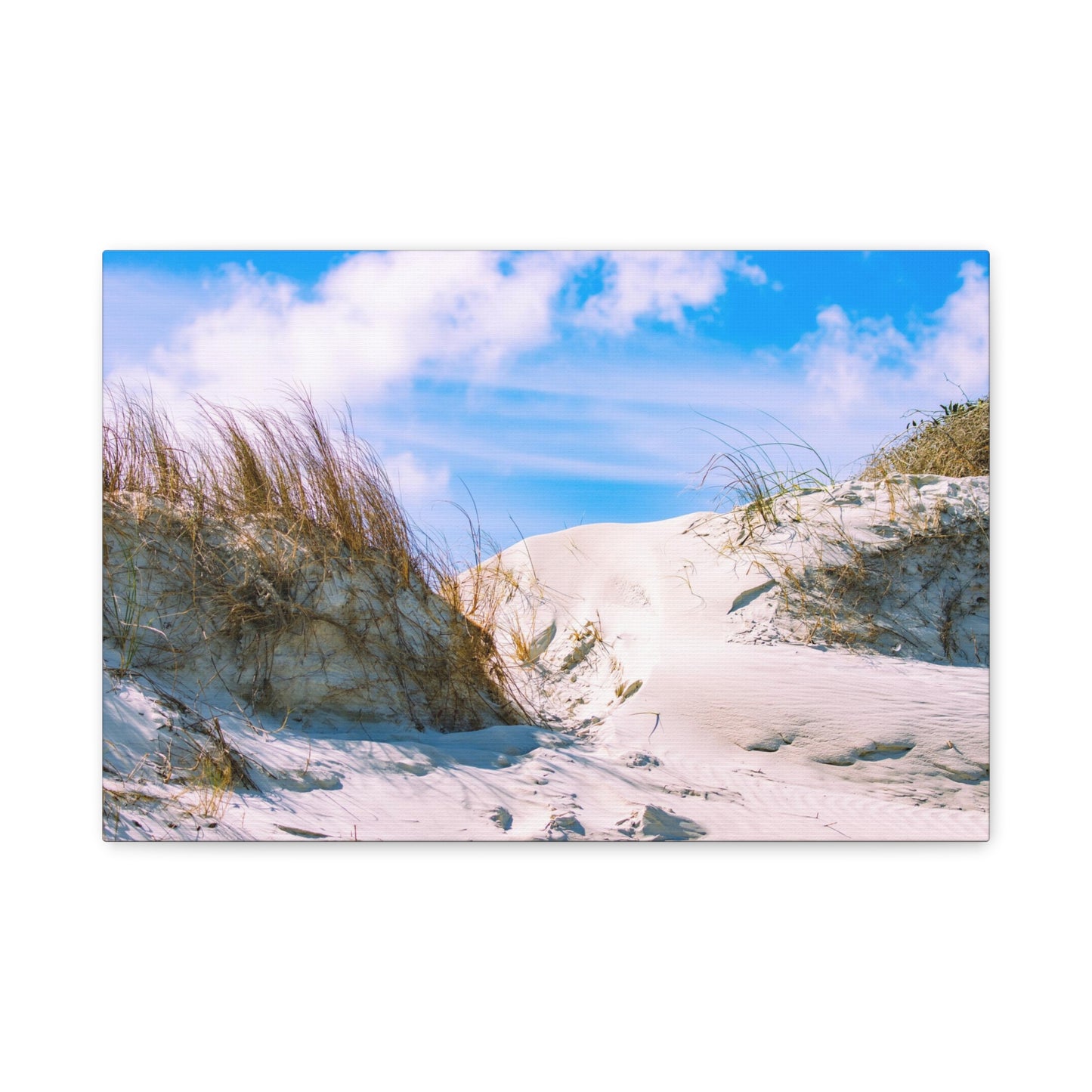 New Smyrna Beach Dunes on Canvas