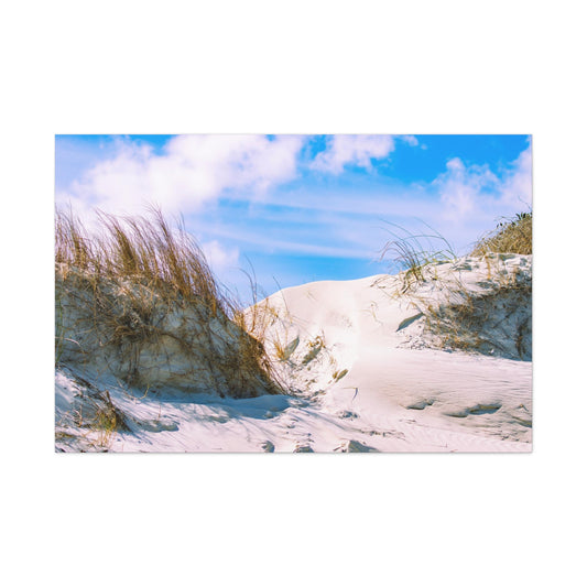 New Smyrna Beach Dunes on Canvas