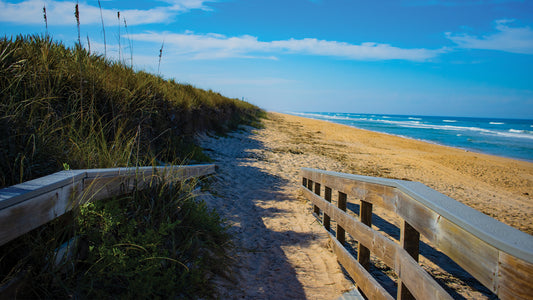 Canaveral National Seashore